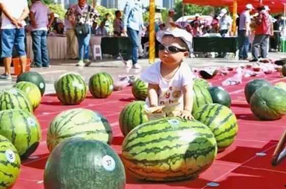 每日大赛吃瓜入口,吃瓜群众狂欢入口揭秘